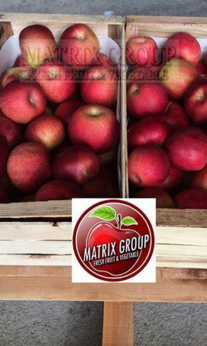 MATRIX GROUP Photos