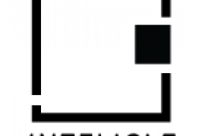 Intelicle Ltd Logo
