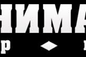 NIMAKI Logo