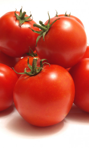 Tomatoes Photos