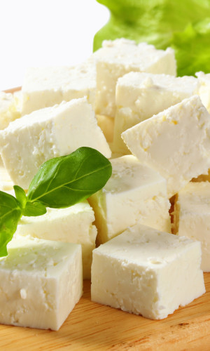 Cheese Photos